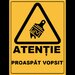 Placuta atentie proaspat vopsit
